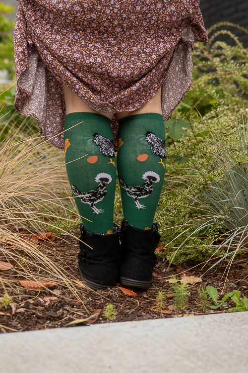 Are You Chicken Me Out? Knee High - Image 5