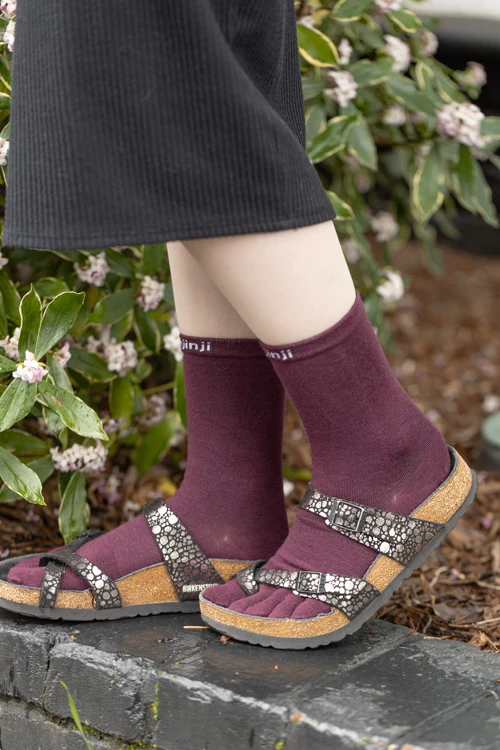 Basic Wool Liner Crew Toe Socks