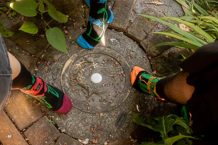 Botanical Nouveau Crew Socks - Image 10