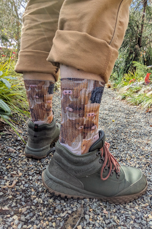 Highland Cows Printed Crew - Image 4