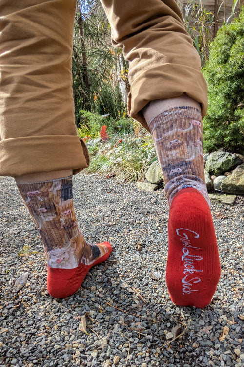 Highland Cows Printed Crew - Image 7