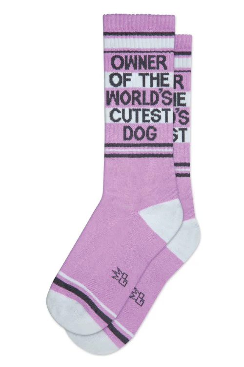 Owner of the World's Cutest Dog Crew - Image 5
