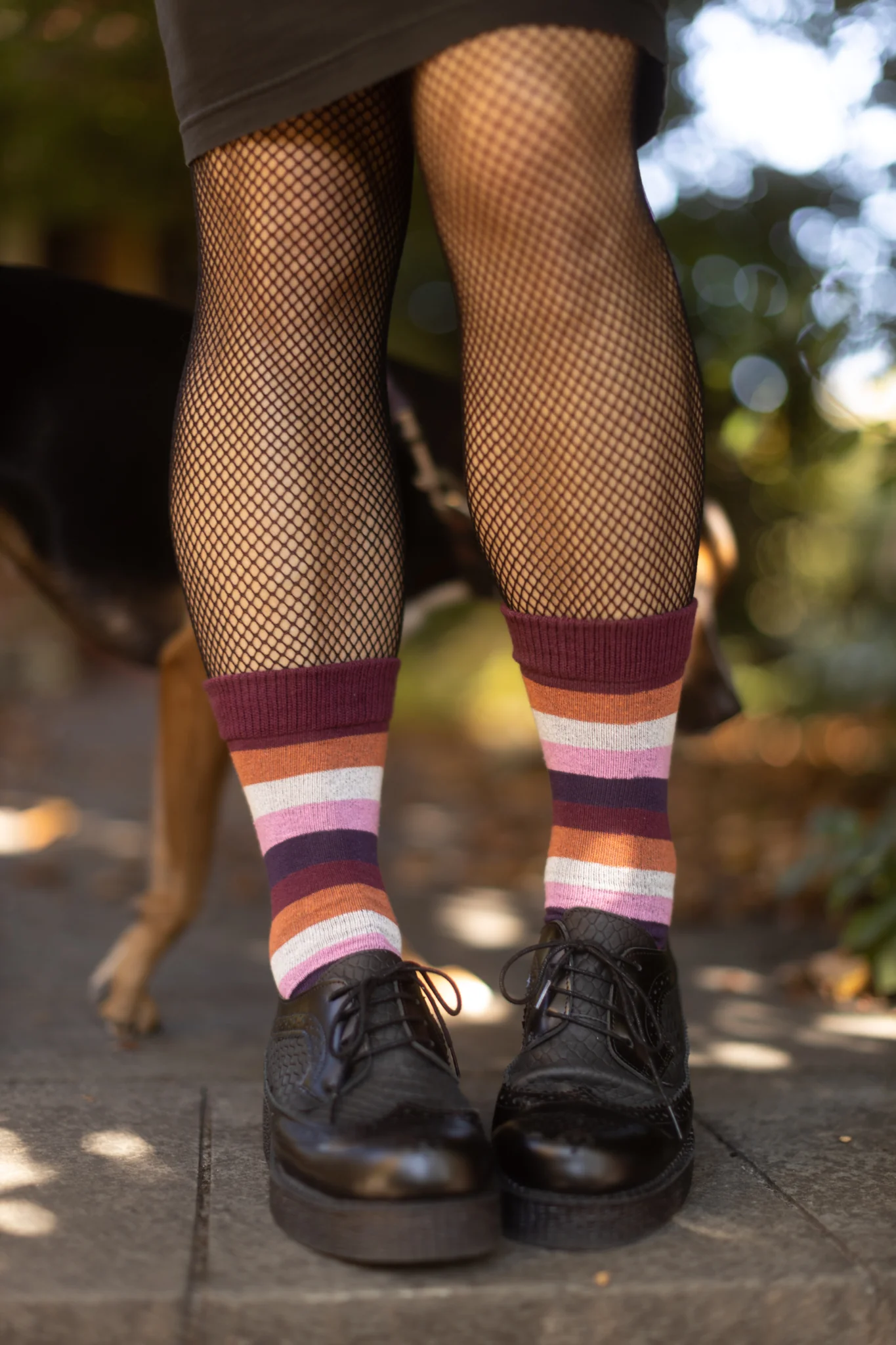 Pride Stripes Cotton Crew Socks - Image 15