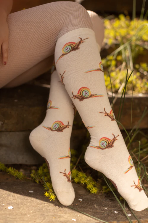 Rainbow Snail Knee High - Image 2