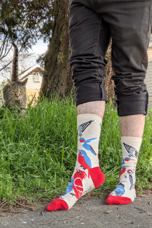 Really Into Birds Crew - Image 2