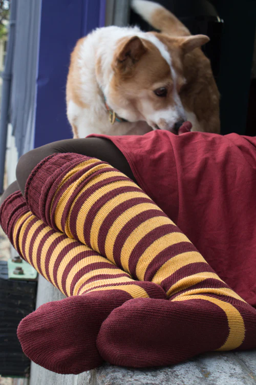 Super Stripes Knee Socks - Image 16